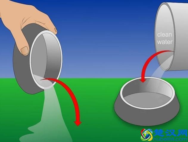 很多人不懂蚊子怕什么,教你一个土办法,10分钟把蚊子消灭干净