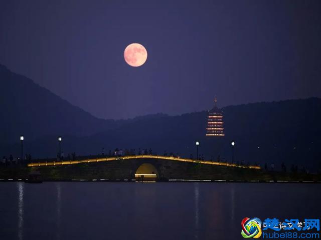 美文：丹桂飘香的季节