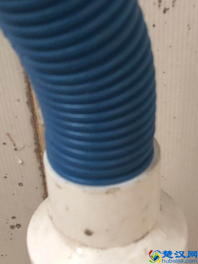 怎么防止老鼠入侵，家里怎么防老鼠？看完秒懂