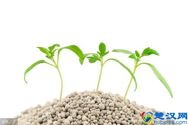 常见的氮肥有几种？你不知道区分和利用损失就大了