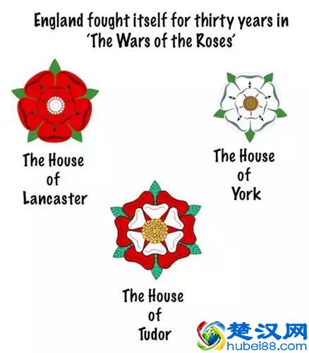 中国的国花是什么？结果有点吃惊！