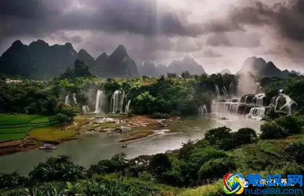 中国的国花是什么？结果有点吃惊！