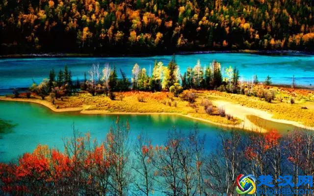 中国的国花是什么？结果有点吃惊！