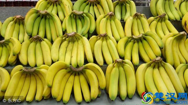 芭蕉和香蕉的区别有哪些？怎么区分