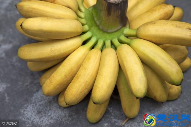 芭蕉和香蕉的区别有哪些？怎么区分