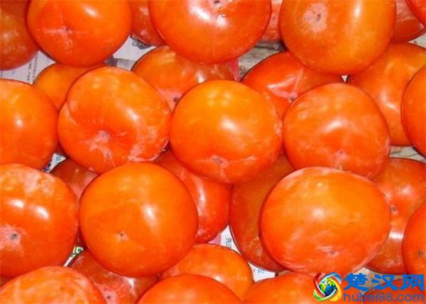 切记！大闸蟹千万不能和这些食物一起吃