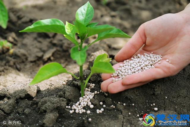 化肥多少钱一吨？今日化肥价格行情提示