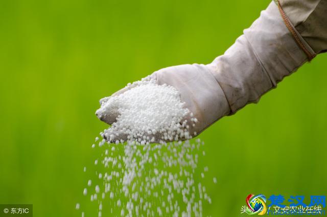 化肥多少钱一吨？今日化肥价格行情提示