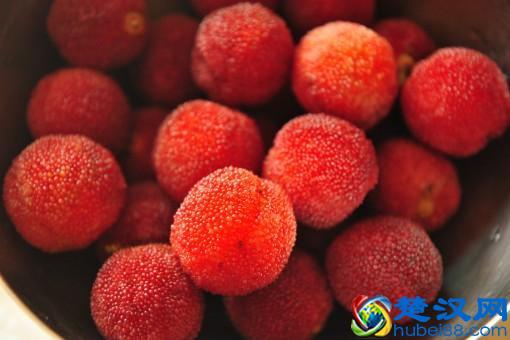 杨梅什么时候成熟上市？里面的虫怎么洗才能洗干净？