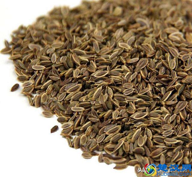 各种香料大全了解