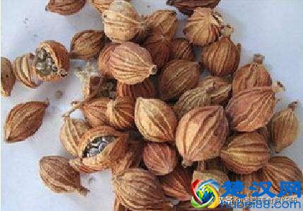 各种香料大全了解