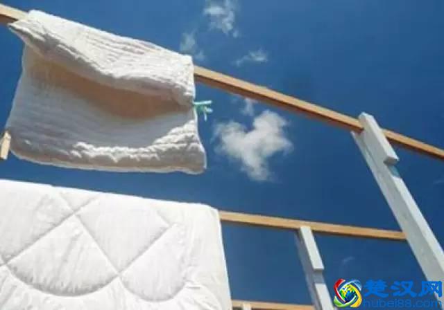 在草长莺飞的季节里，过敏怎么办？