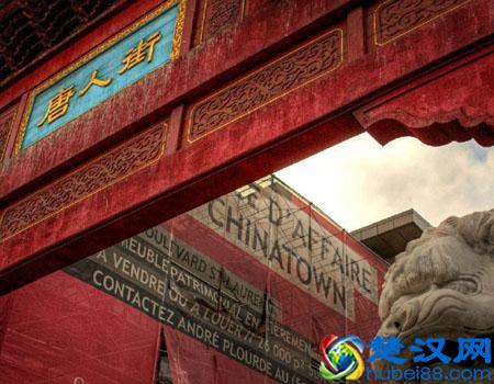 冷知识：骆驼为什么耐旱？骆驼的耐旱之谜