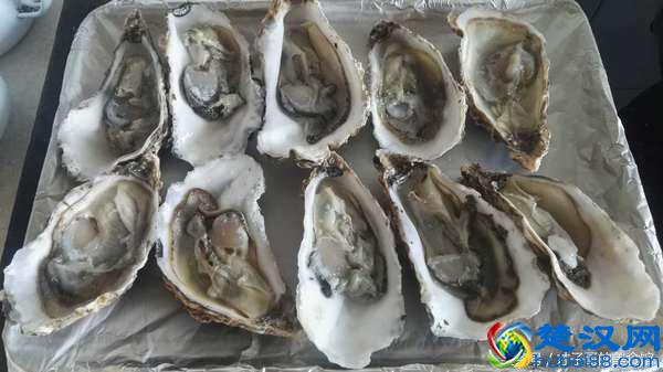 生蚝（牡蛎）拿回家，大家都是怎么吃的？把各自的绝招都亮出来呗