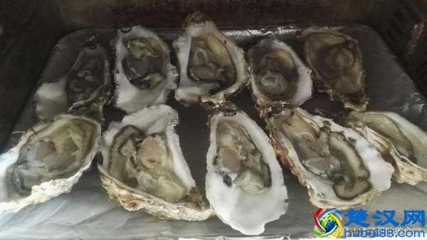 生蚝（牡蛎）拿回家，大家都是怎么吃的？把各自的绝招都亮出来呗