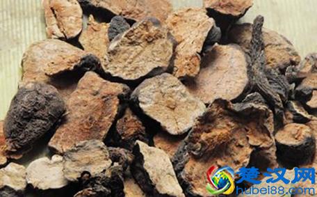 头发泛黄分叉，还脱发没有光泽？原来竟是身体出了这些问题