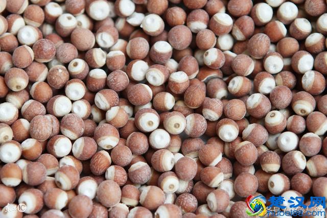 什么人不能吃芡实？芡实的营养价值及最佳配搭