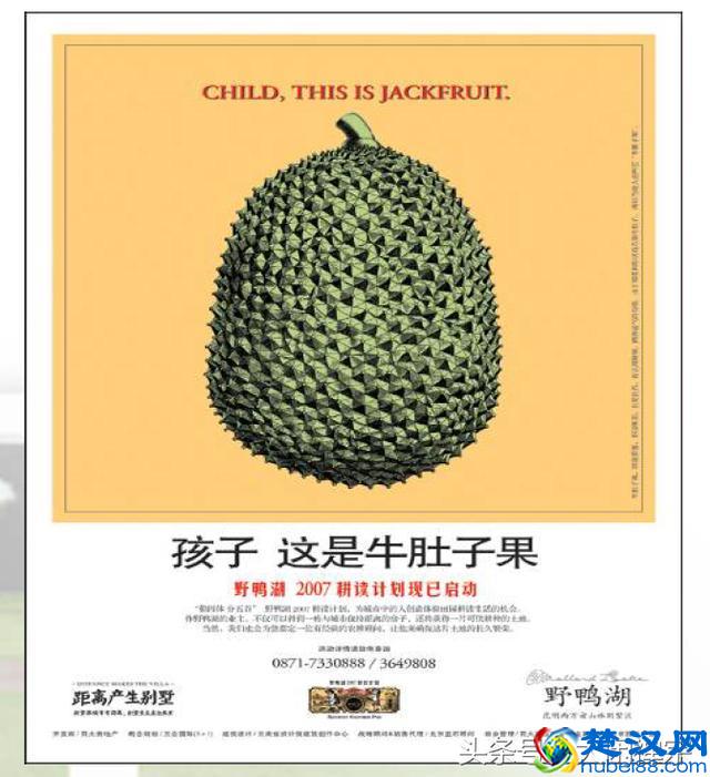 神文案是这样的~房地产广告出神入化的广告文案