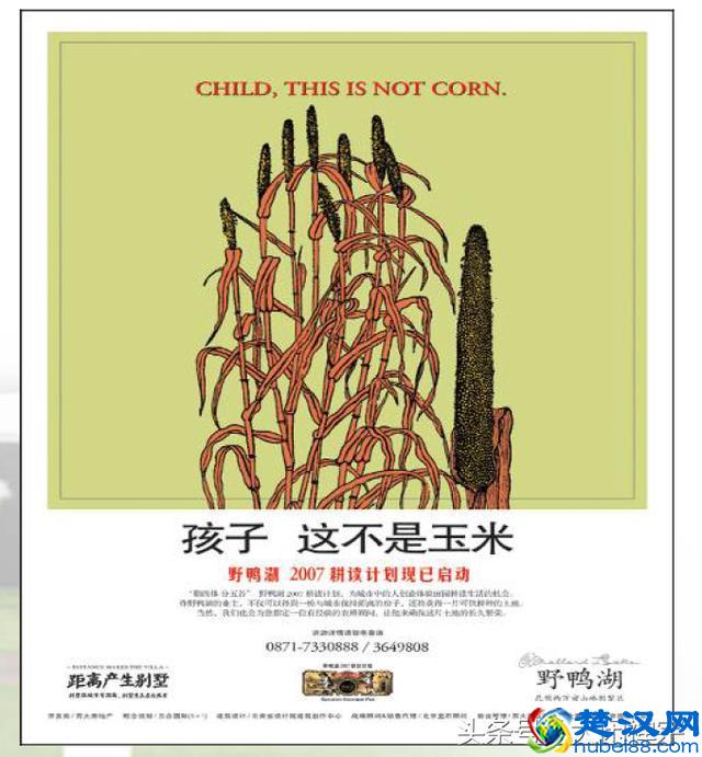 神文案是这样的~房地产广告出神入化的广告文案