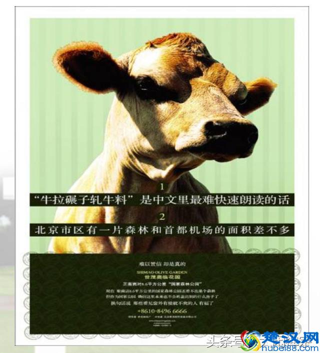 神文案是这样的~房地产广告出神入化的广告文案