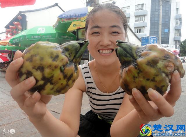 什么人不能吃芡实？芡实的营养价值及最佳配搭