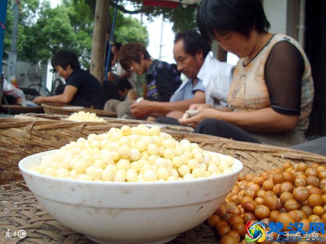 什么人不能吃芡实？芡实的营养价值及最佳配搭