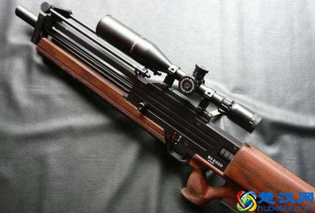 这把狙击枪是世界上性能最好的枪，精准度世界第一，至今无人超越