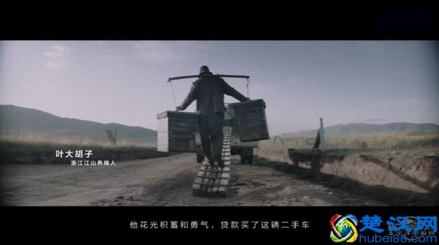 支付宝怎么变成这样了？支付宝广告是这么说的