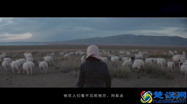 支付宝怎么变成这样了？支付宝广告是这么说的