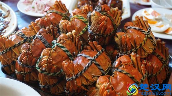 阳澄湖在哪里，有什么好玩的，苏州莲花岛旅游攻略