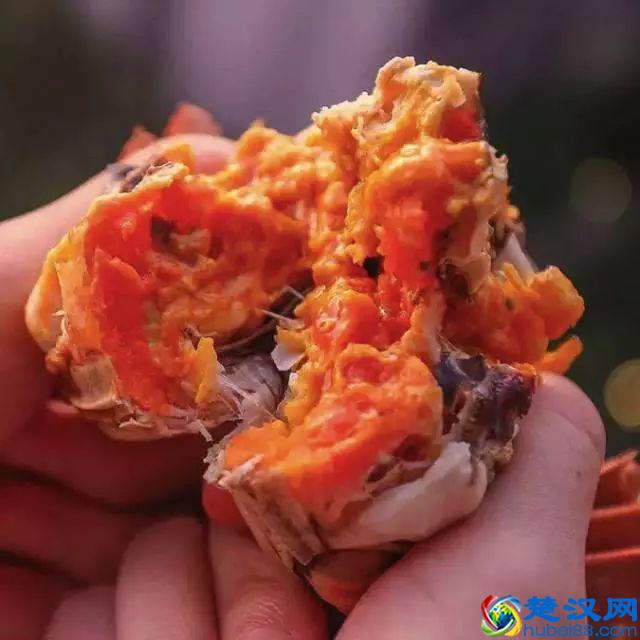 阳澄湖在哪里，有什么好玩的，苏州莲花岛旅游攻略