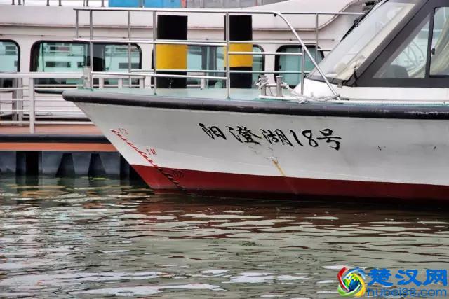 阳澄湖在哪里，有什么好玩的，苏州莲花岛旅游攻略