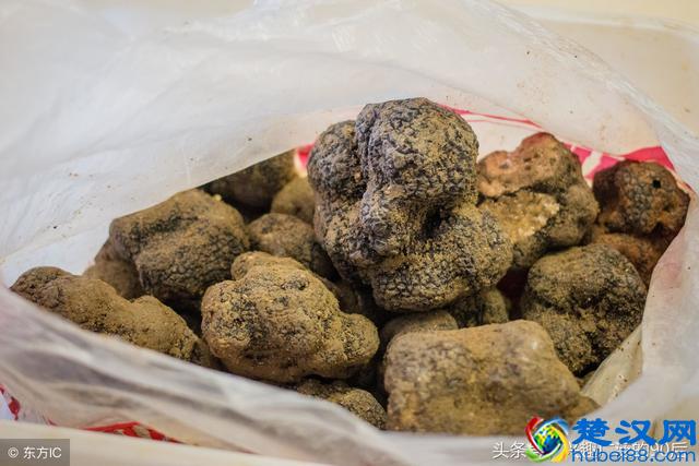 这几种去法国必购的特产，你知道几种？收集法国各地的名物