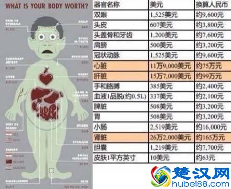 手机问答：国行iPhone 6什么时候上市？