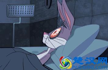 “生物钟”到底是什么？它是怎么知道一天有24小时的？