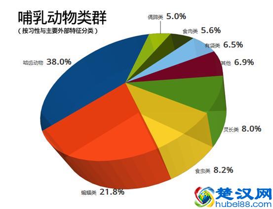 哺乳动物是什么时候出现的？