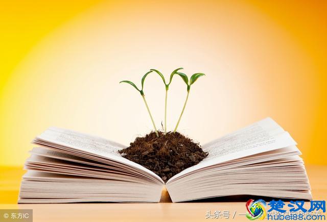 这个时代只要不违法，你可以无底线的去赚钱