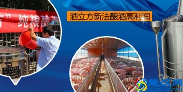 1万块钱做什么生意赚钱快?10个火爆致富项目