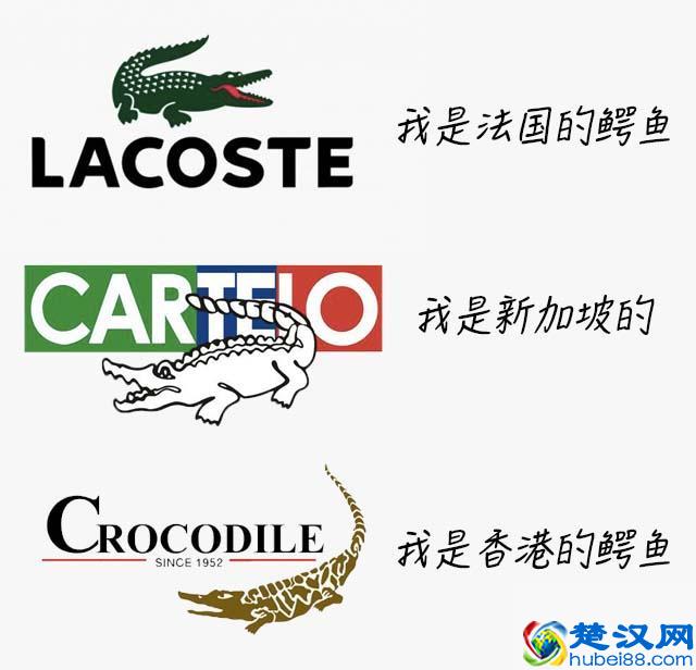 鳄鱼品牌那么多，你买的是哪个？