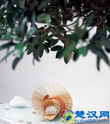 「废物利用」这些小东西还可以这样用，太神奇了