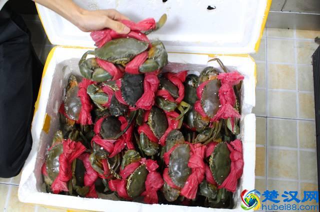 窝腻｜曾经卖女包的帅锅，在遵义开了一家“骚包”的炒蟹店...