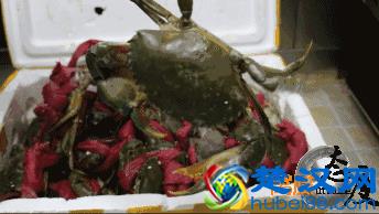 窝腻｜曾经卖女包的帅锅，在遵义开了一家“骚包”的炒蟹店...