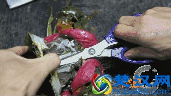 窝腻｜曾经卖女包的帅锅，在遵义开了一家“骚包”的炒蟹店...