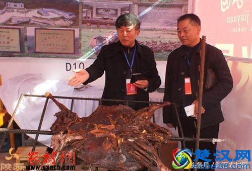 养这种羊经济效益好，可作为农民创业致富的捷径！