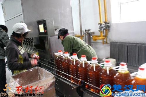 不要太多资金，就可以在农村做起来的好项目！