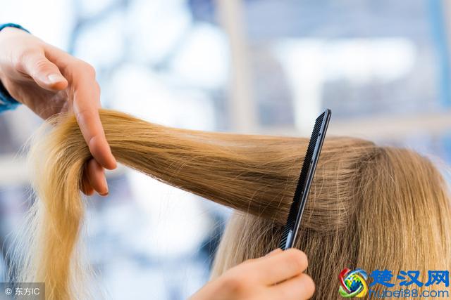 经常掉头发，可能是得了这6种疾病，做好3件事才能预防