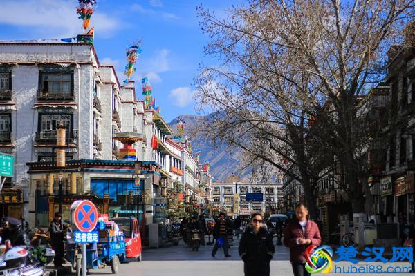 回到拉萨,杂忆日光城