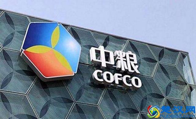 中粮酒业如何玩转酒鬼酒？