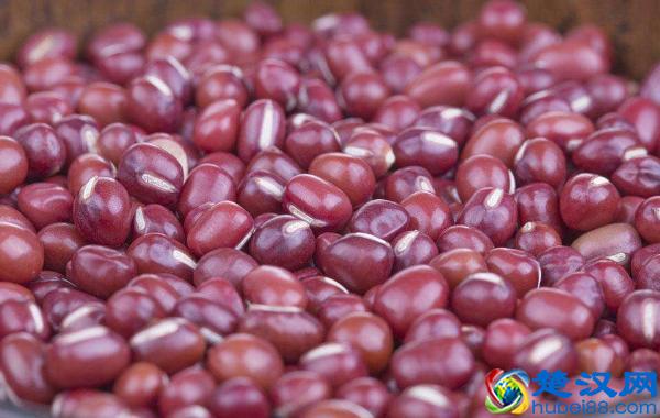 红豆？赤小豆？傻傻分不清楚！到底有什么区别！