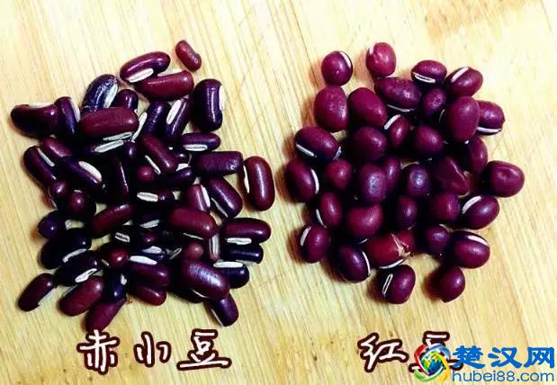 红豆？赤小豆？傻傻分不清楚！到底有什么区别！